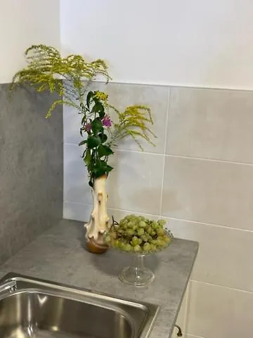 Apartment Concetta Cres Croatia